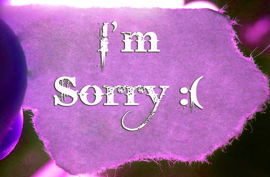 Apology Message Purple Background Wallpaper