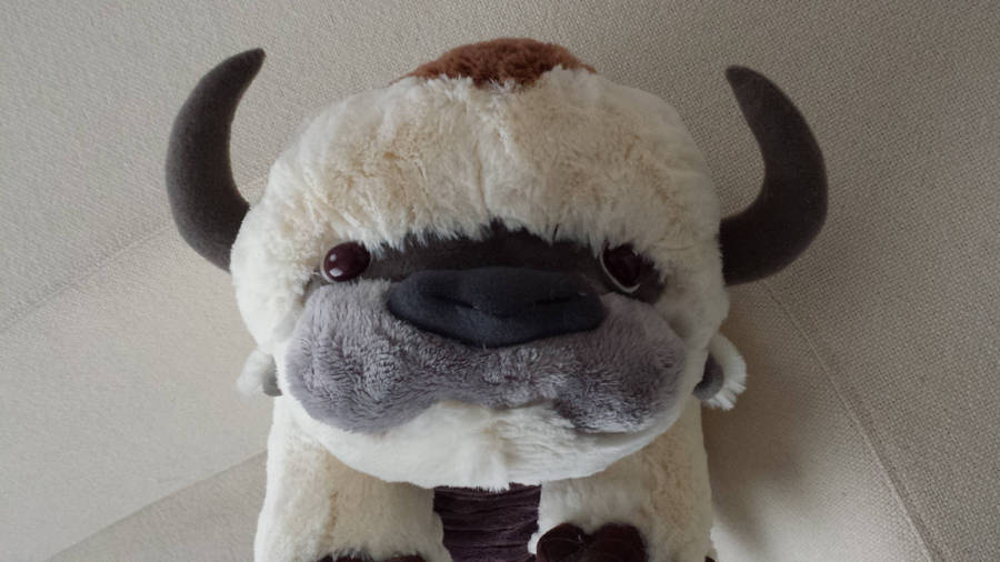 Appa Stuffed Toy Wallpaper