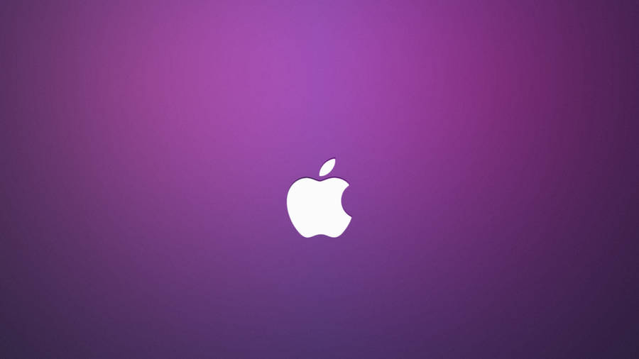 Apple 4k Ultra Hd Purple Background Wallpaper