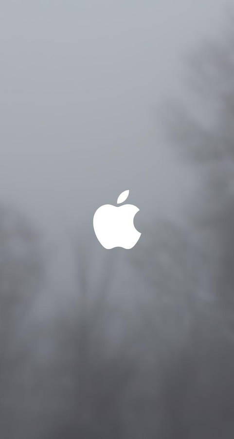 Apple Logo Iphone Se Wallpaper