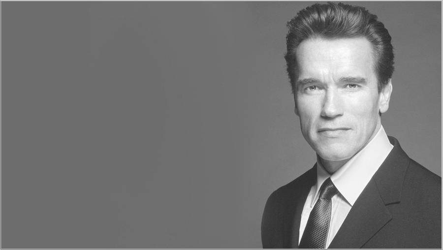 Archaic Smile Arnold Schwarzenegger Wallpaper