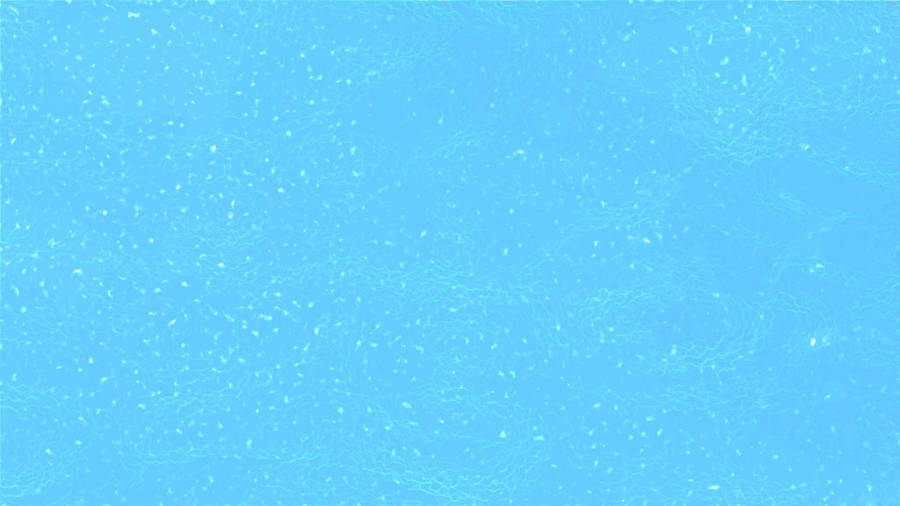 Arctic Blue Plain Color Wallpaper