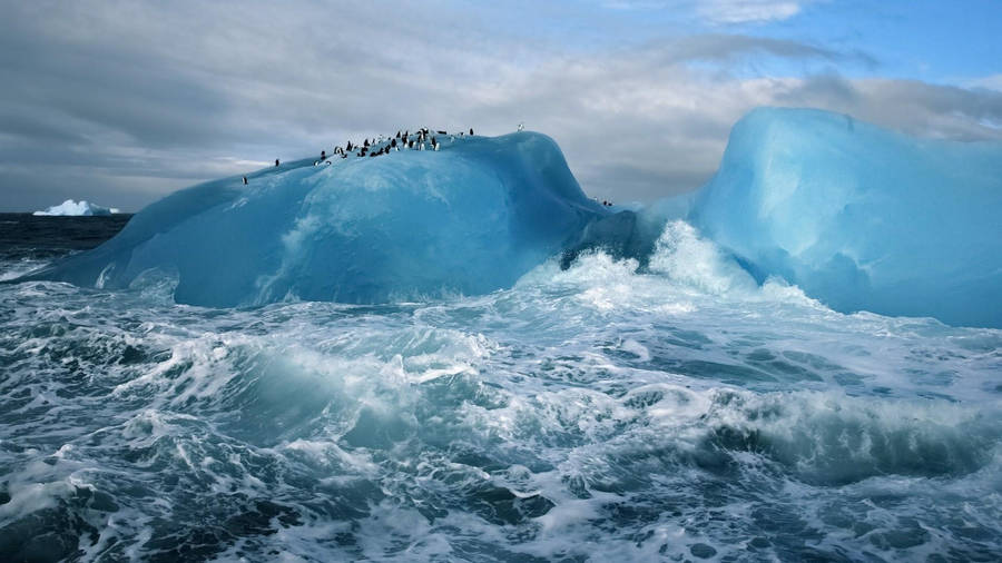 Arctic Iceberg With Penguins Wallpaper