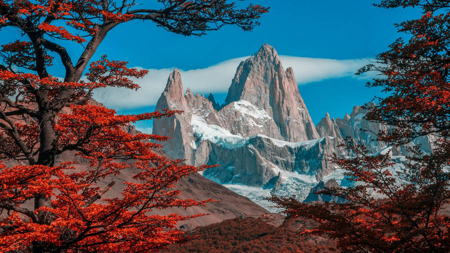 Argentina Fitz Roy Autumn Wallpaper