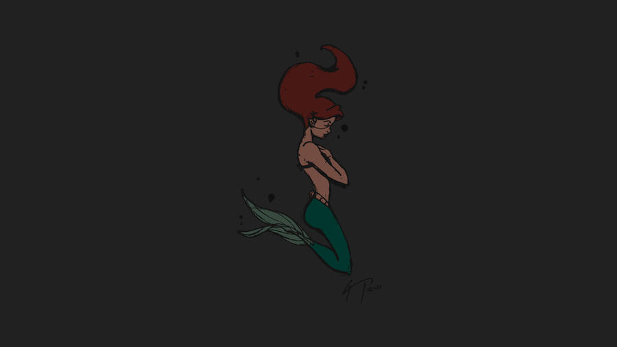 Ariel Dark Minimalist Art Wallpaper