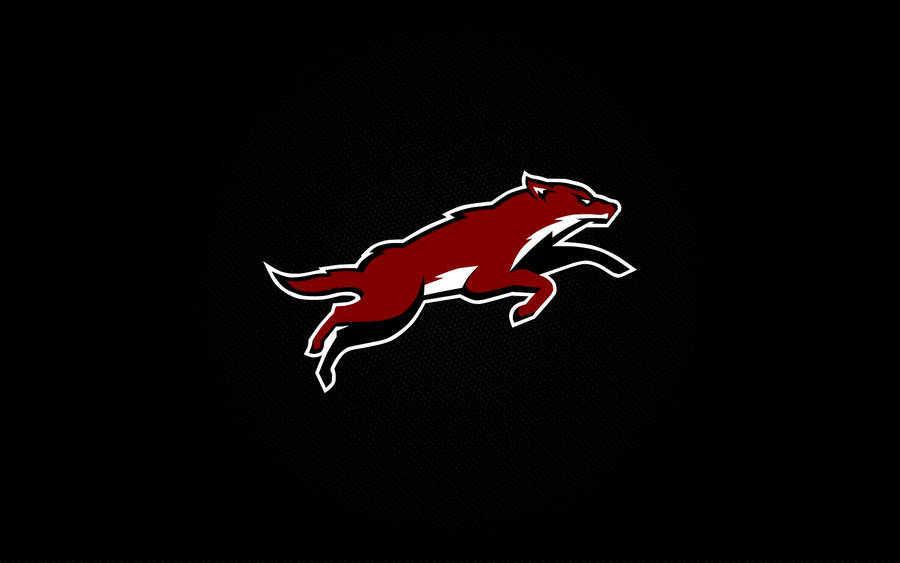 Arizona Coyotes On Black Wallpaper