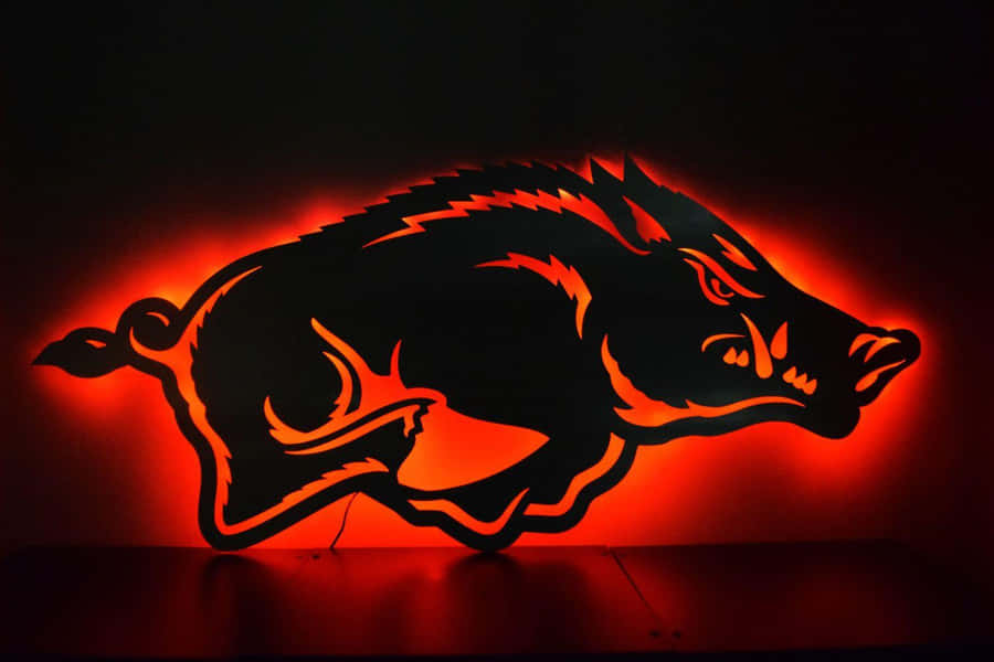 Arkansas Razorbacks – Always Ready To Compete! Wallpaper