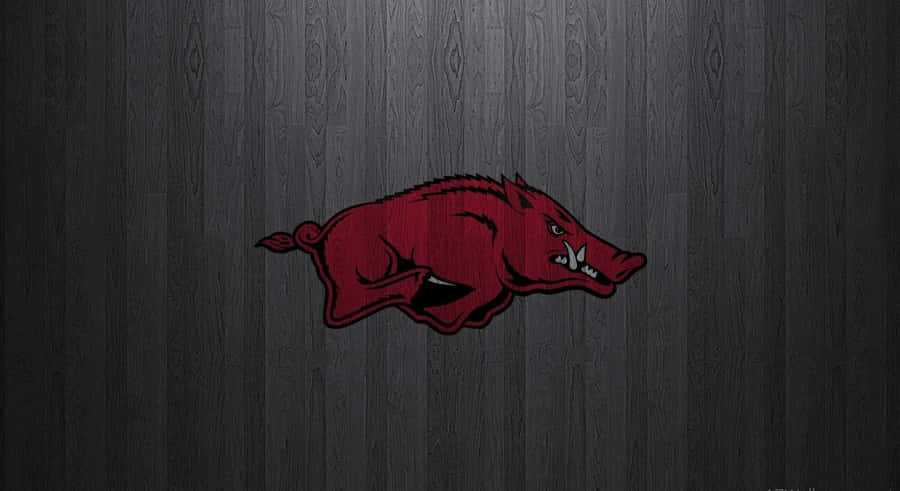 Arkansas Razorbacks Wallpapers Arkansas Razorbacks Wallpapers Wallpaper