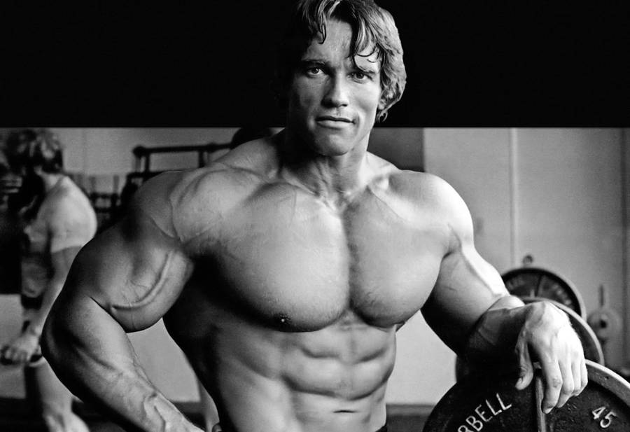 Arnold Schwarzenegger Wallpaper High Resolution And Quality Wallpaper