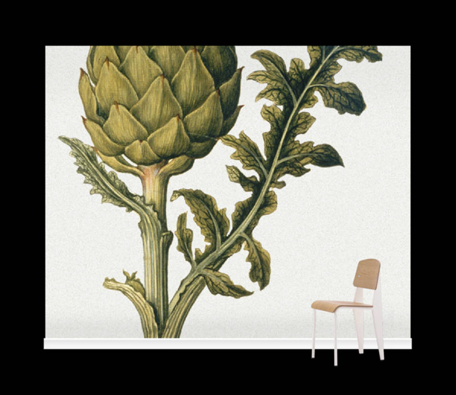 Artichoke Vegetable As A Mural Art Wallpaper