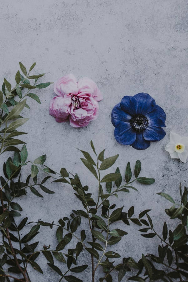 Artistic Vintage Flower Aesthetic Flat Lay Wallpaper