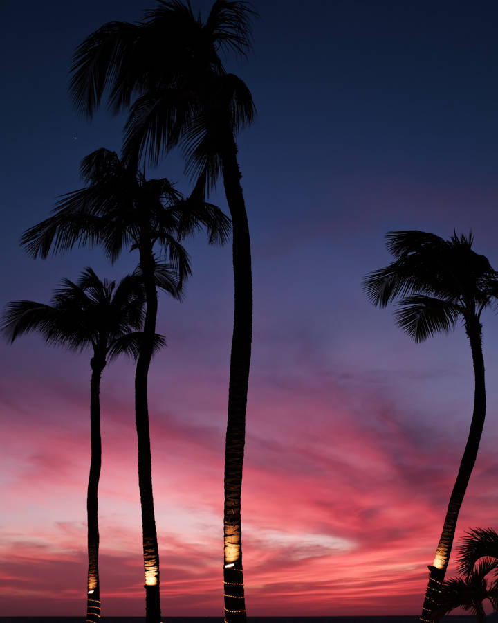 Aruba Dusky Beach Wallpaper