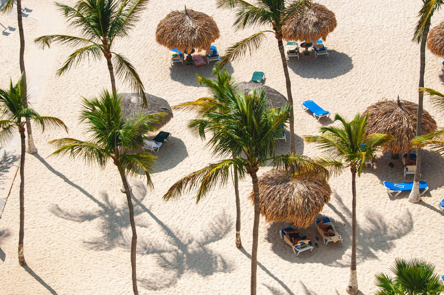 Aruba Tiki Hut And Coconuts Wallpaper