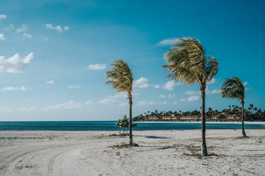 Aruba Tranquil Eagle Beach Wallpaper