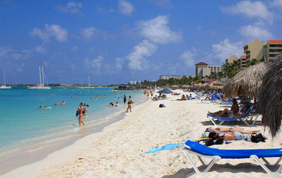 Aruba White Sandy Shore Wallpaper