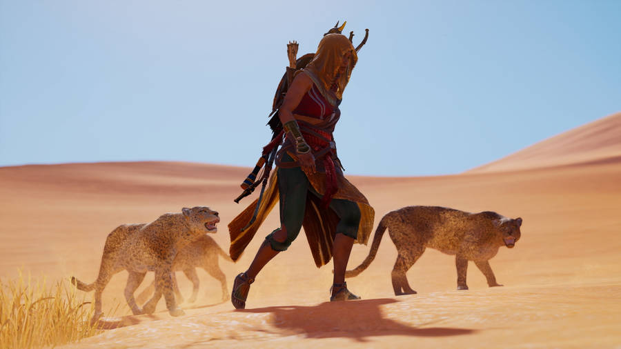 Assassin's Creed Origins Cheetahs Wallpaper