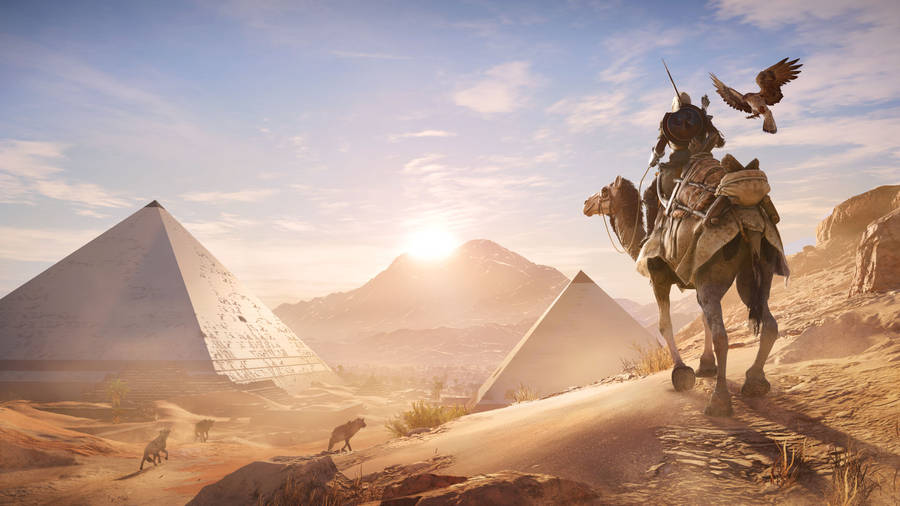 Assassin’s Creed Video Game Desert Wallpaper