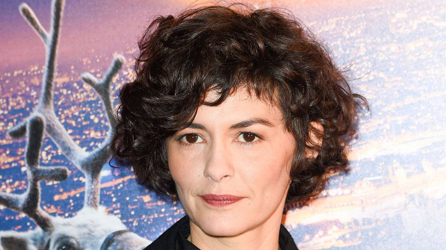 Audrey Tautou Curly Hair Wallpaper