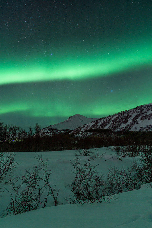 Aurora Borealis Over Snowy Landscape Green Iphone Wallpaper