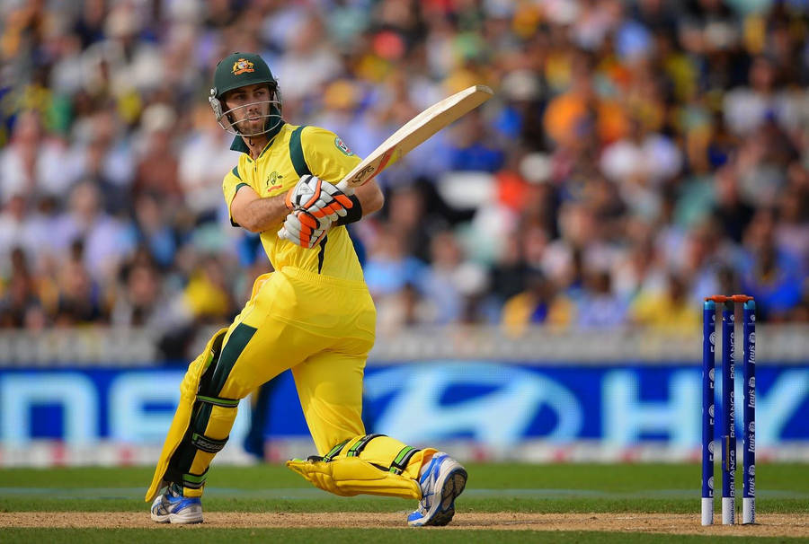 Australia Cricket Glenn Maxwell Wallpaper