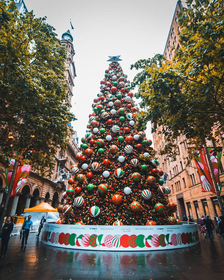 Australian Christmas Colorful Tree Wallpaper