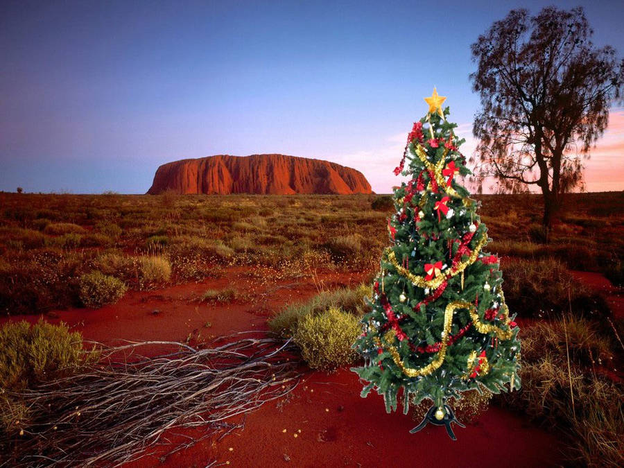 Australian Christmas Mountain Wallpaper