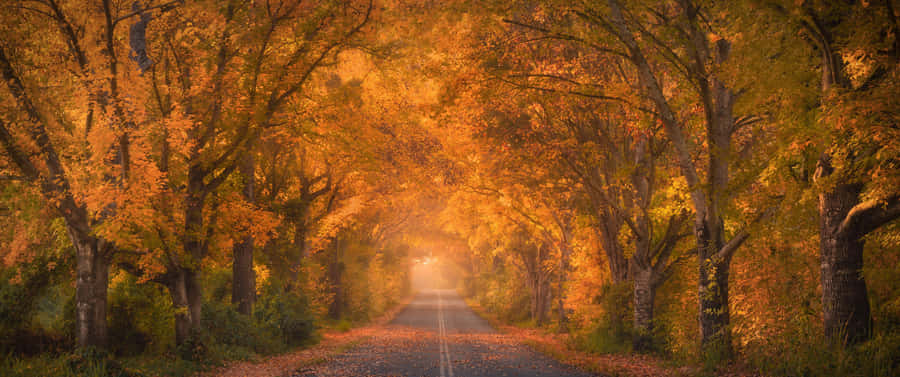 Autumn Colors In A Riverside Landscape Wallpaper