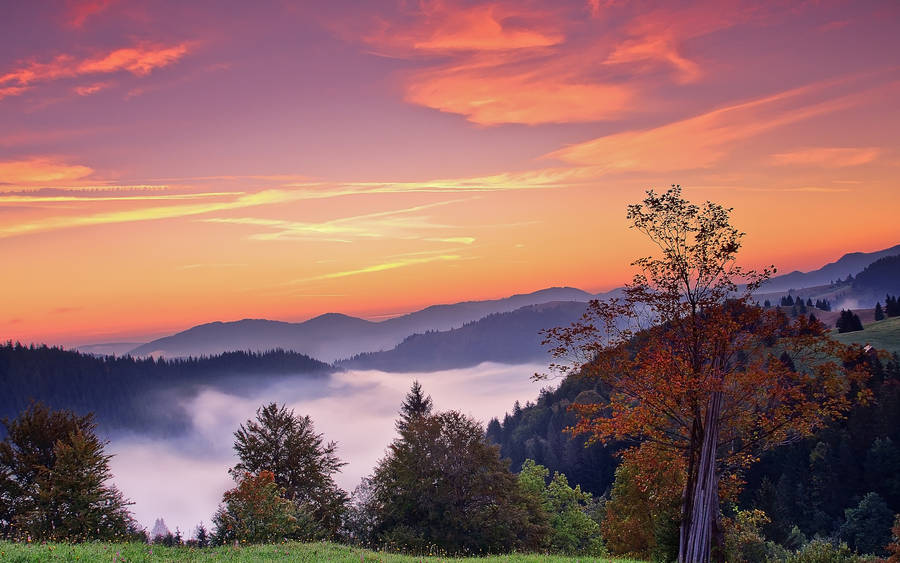 Autumn Fog Sunrise Aesthetic Mac Wallpaper