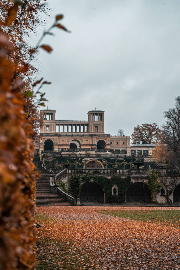 Autumn In Orangery Palace Potsdam Wallpaper