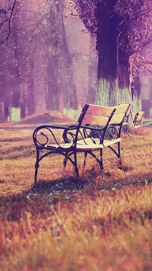 Autumn Iphone 6 Plus With A Bench Wallpaper