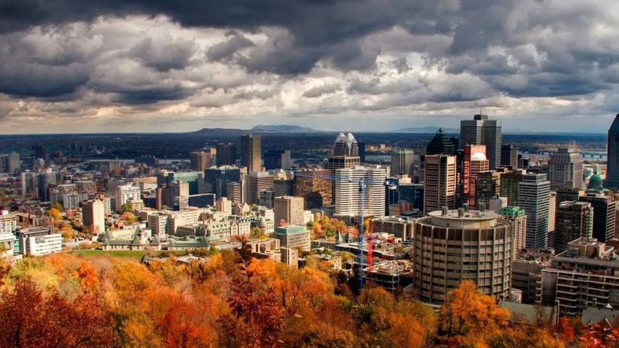 Autumn Quebec City Trees Wallpaper