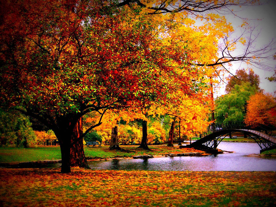 Autumn Season Park Lake Wallpaper