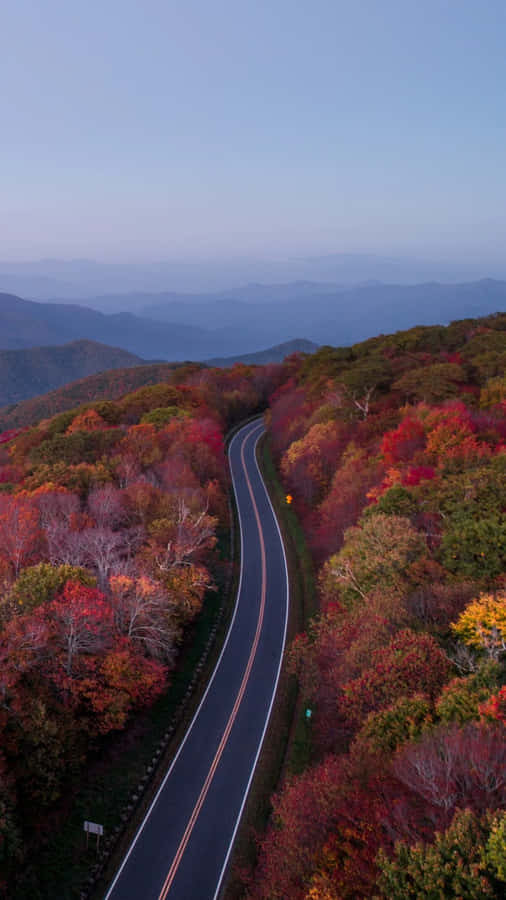 Autumnal Mountain Roadscape Wallpaper