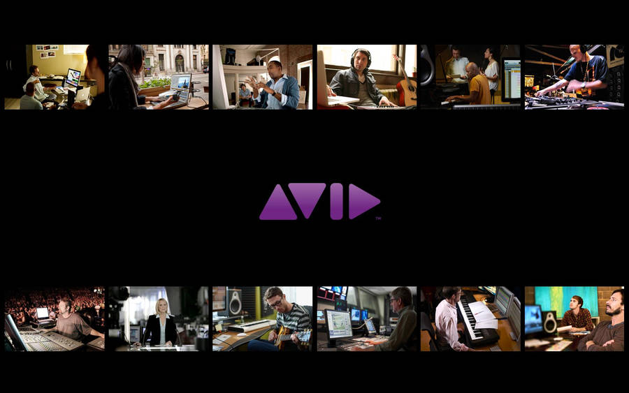 Avid Various Users Wallpaper