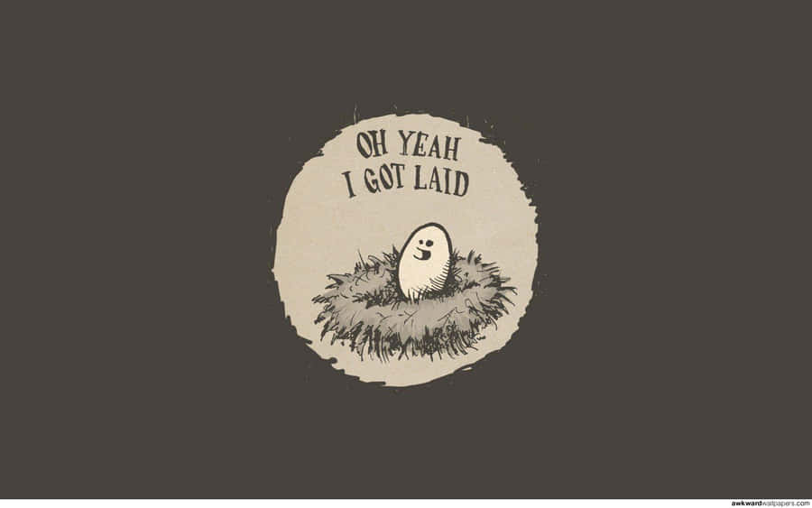 Awkward Egg On A Nest Wallpaper