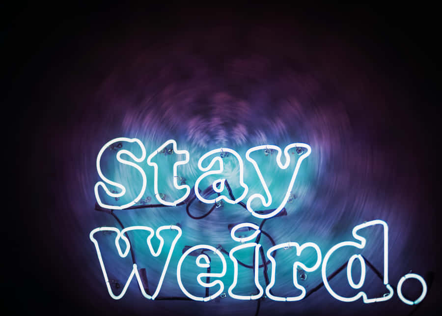 Awkward Neon Lights Slogan Wallpaper