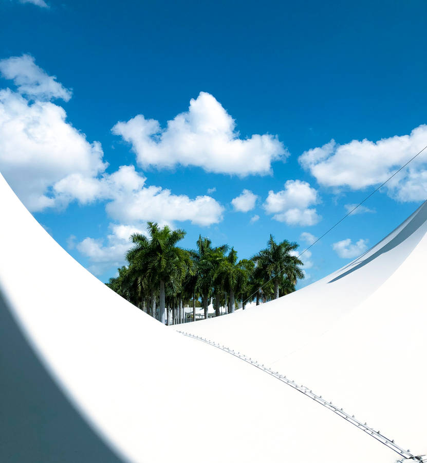 Azure Sky And Palm Trees Wallpaper