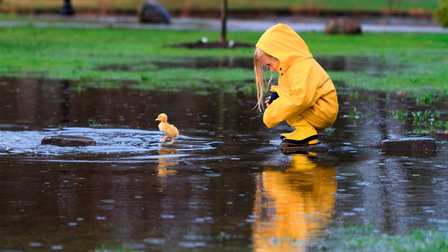 Baby Duck And Child Wallpaper