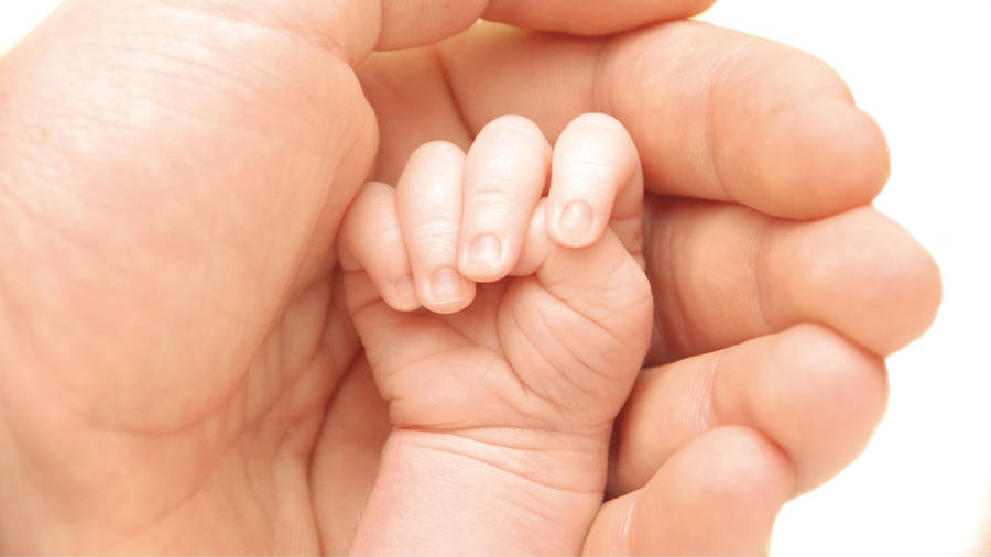 Baby Hand Tiny Newborn Wallpaper