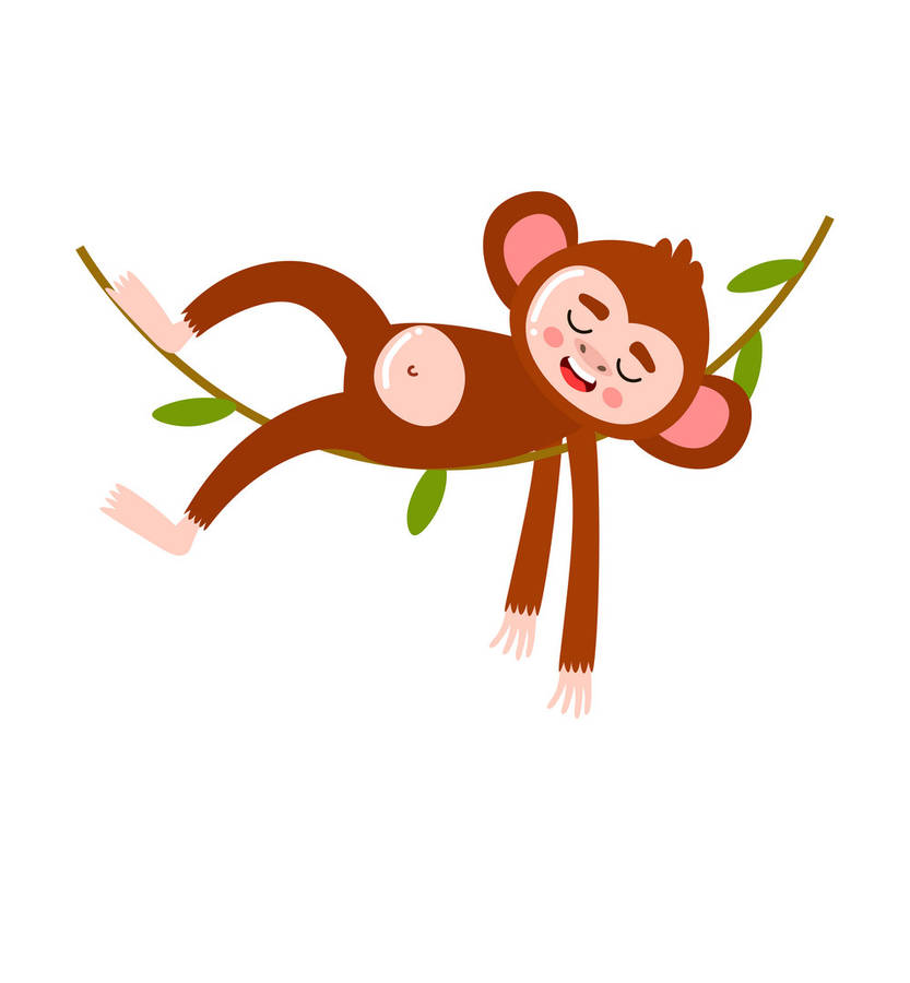 Baby Monkey Sleeping Wallpaper