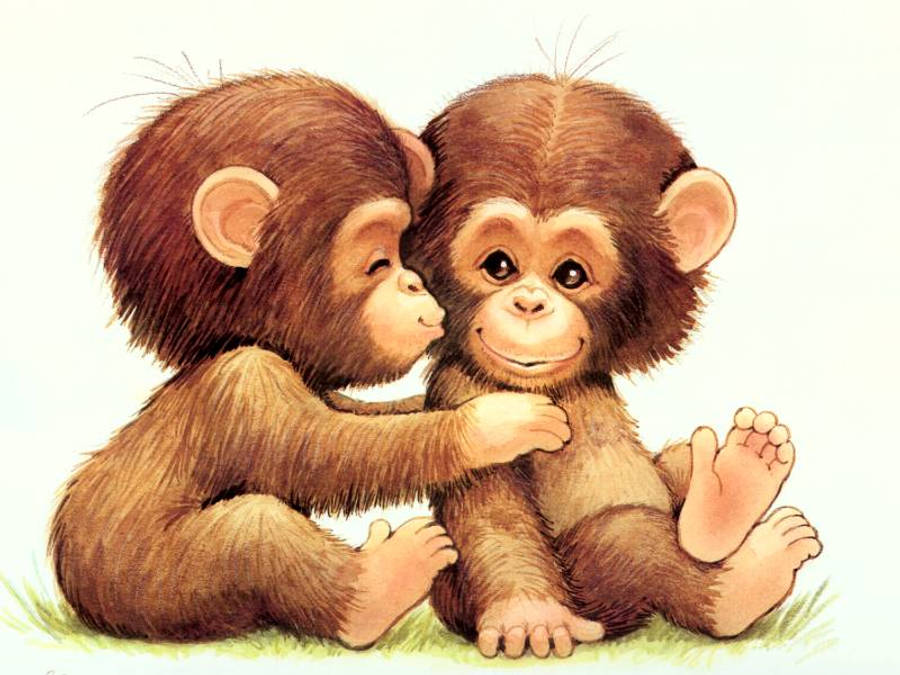 Baby Monkey Twins Wallpaper