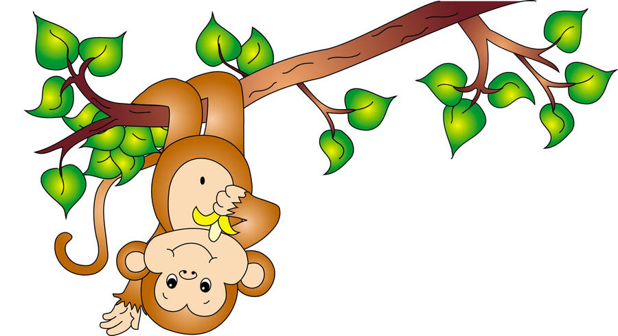 Baby Monkey Upside Down Wallpaper