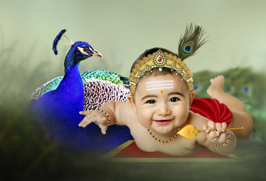 Baby Murugan With Blue A Peacock Wallpaper