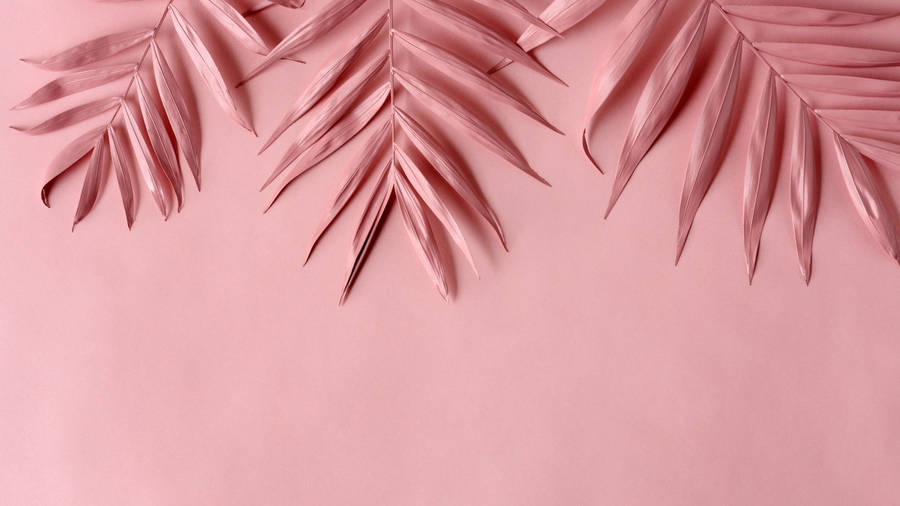 Baby Pink Leaves Aesthetic Wallpaper