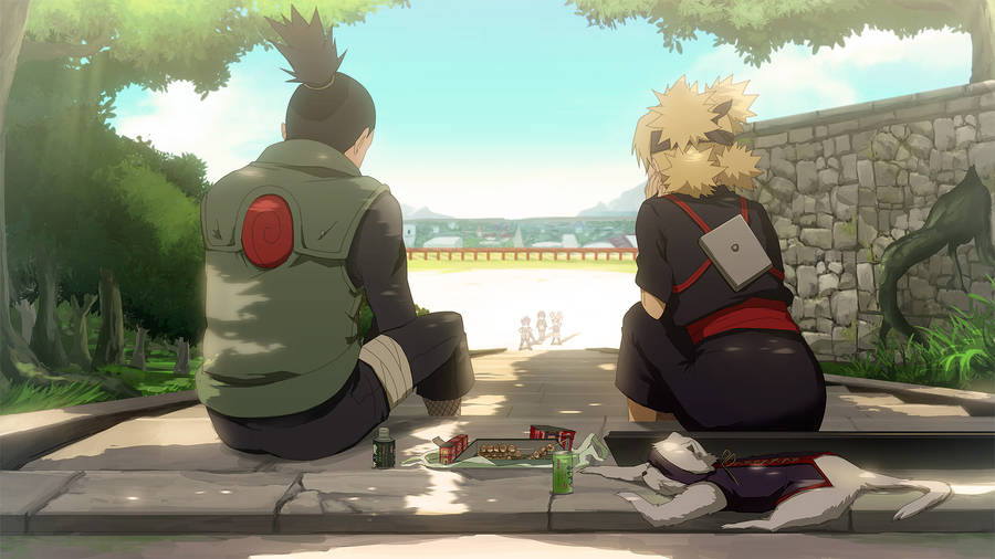 Backview Shikamaru And Temari Wallpaper