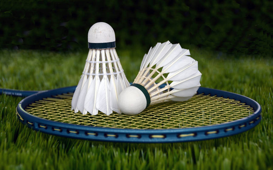 Badminton Shuttlecocks On Blue Racket Wallpaper