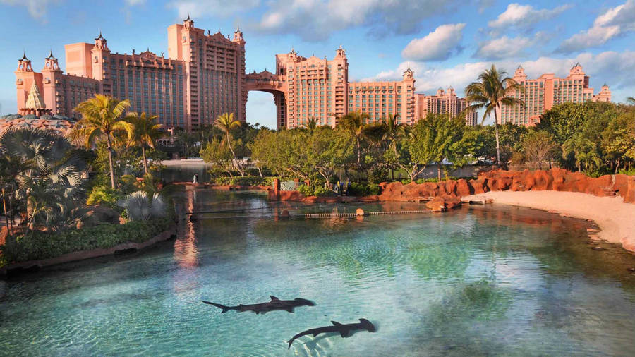 Bahamas Royal Atlantis View Wallpaper