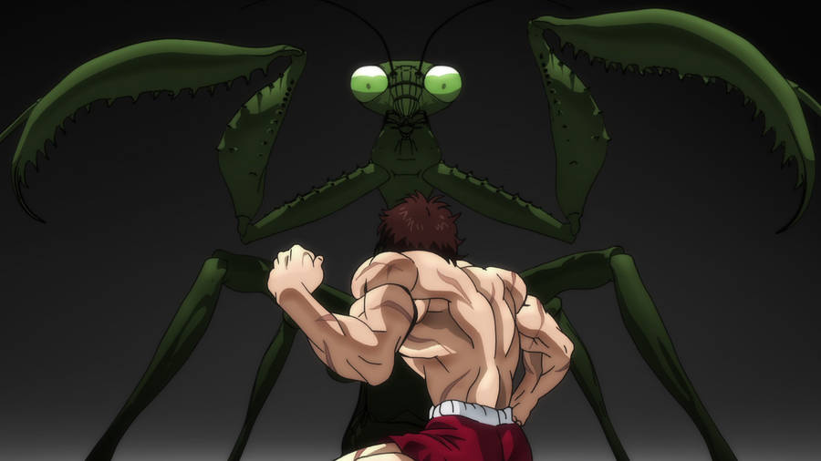 Baki Hanma Against Green Mantis Wallpaper