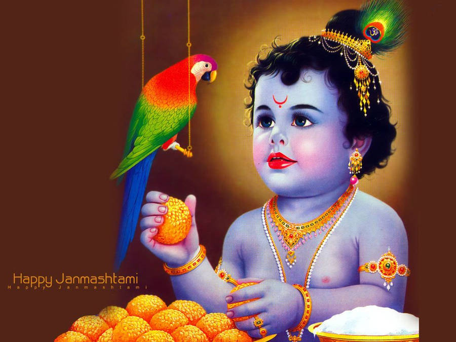 Bal Krishna With A Scarlet Macaw And Kadamba Wallpaper