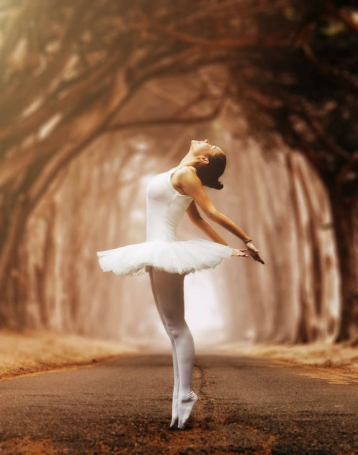 Ballet Dancer Trees Brown Forest Wallpaper